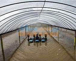 淄博水產(chǎn)養(yǎng)殖膜 選擇可靠農(nóng)用薄膜批發(fā)商的重要性